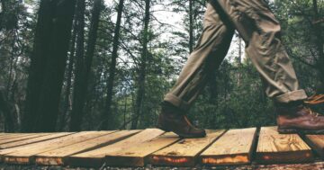 梅雨の作り置き保存術｜食中毒を防ぐ食材選び・保存容器・衛生管理の実践ガイド2026